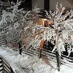 Stan Sk 아파트 페일