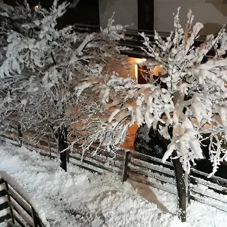 Stan Sk アパート パレ